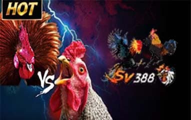 SV388